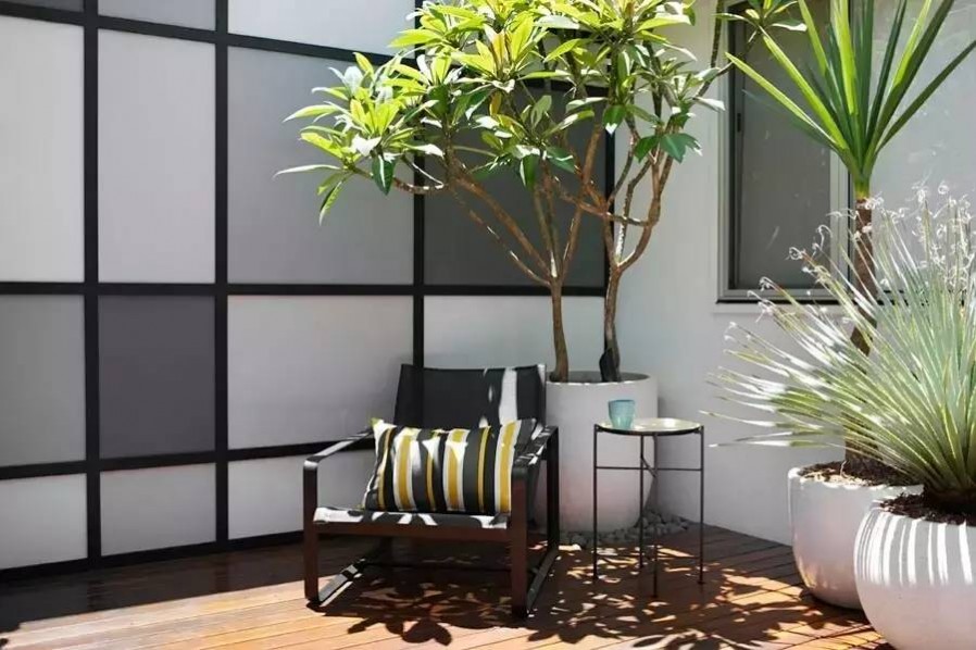 1677133690104316.jpg 1677133690104316.jpg