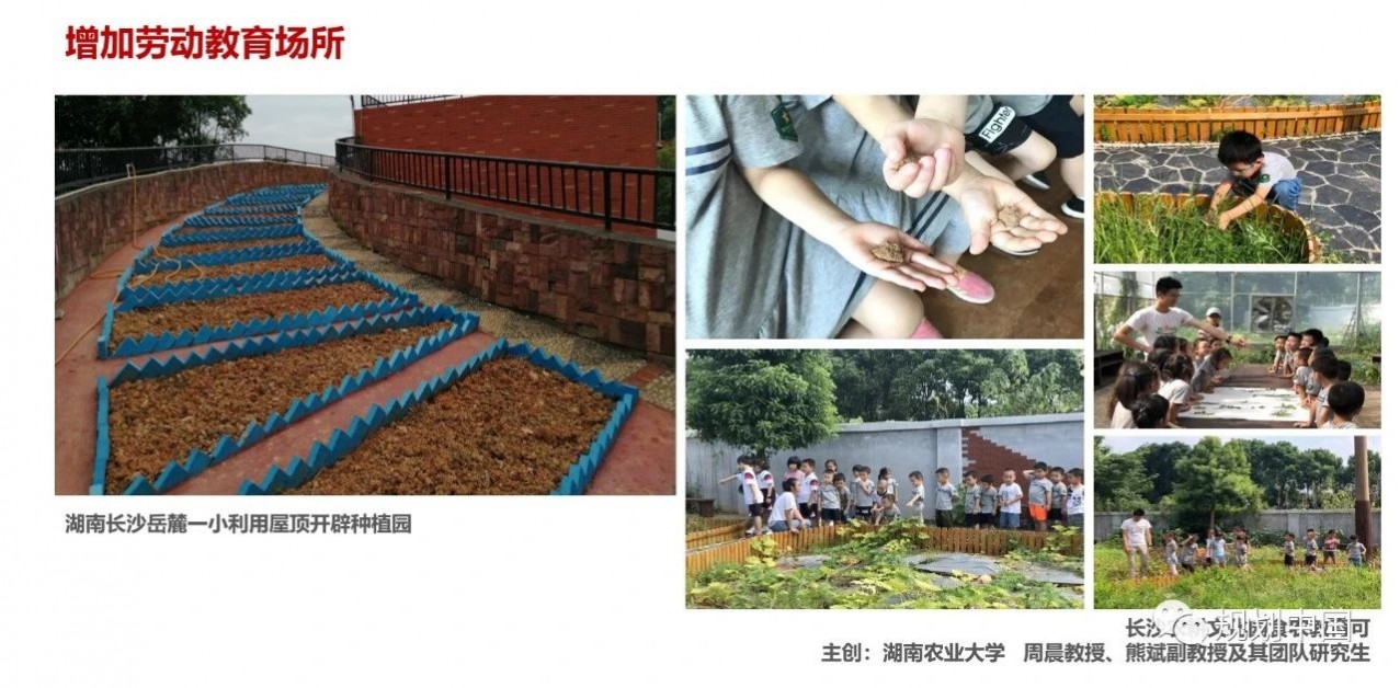 1681094708557431.jpg 1681094708557431.jpg