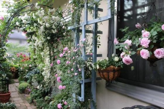 1681111993110967.jpg 1681111993110967.jpg