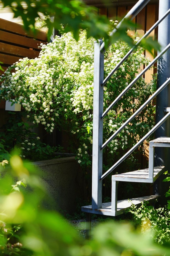 1686034483767555.jpg 1686034483767555.jpg