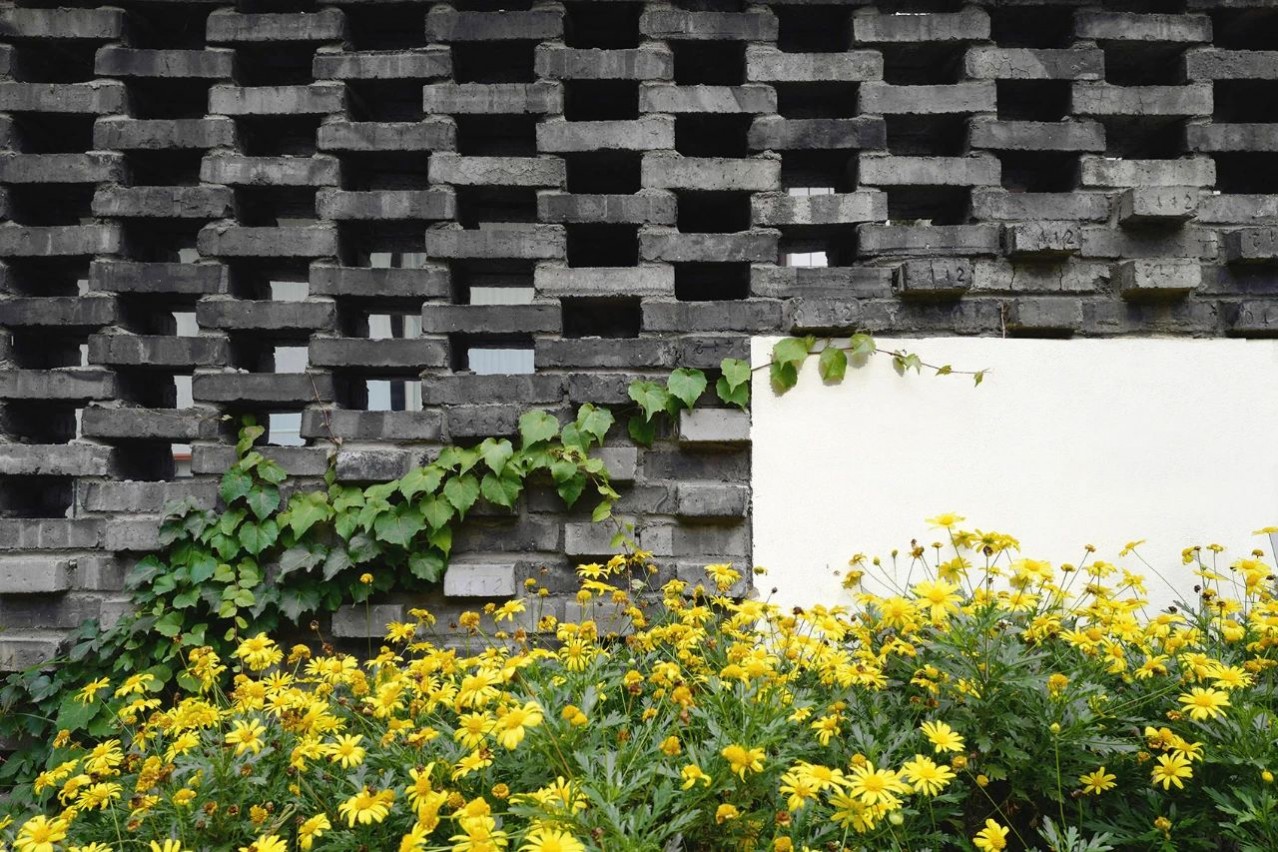 1692690972409161.jpg 1692690972409161.jpg