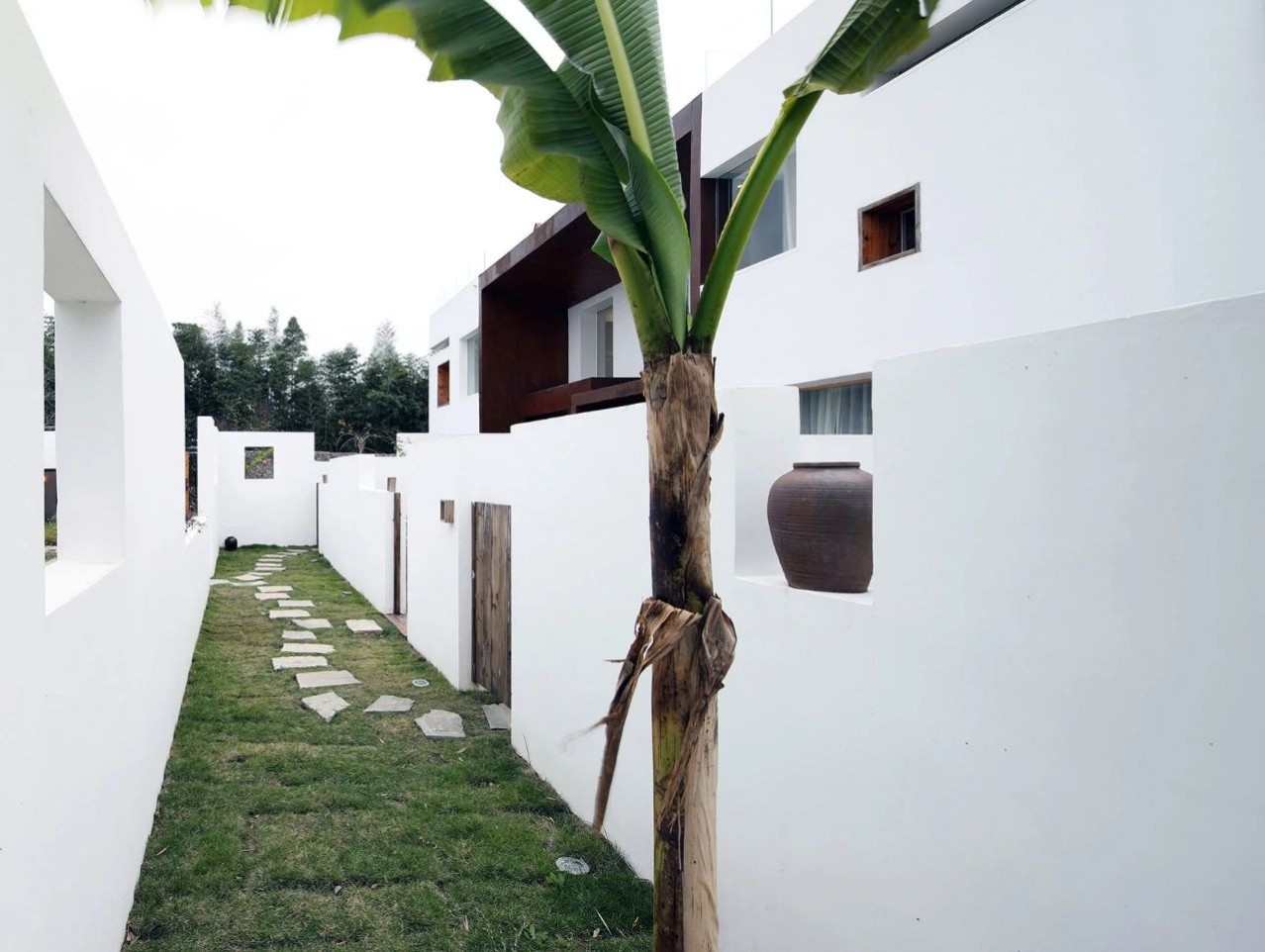 1692691172512669.jpg 1692691172512669.jpg